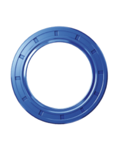Picture of Oil Seal Suppliers in Dubai, Uae